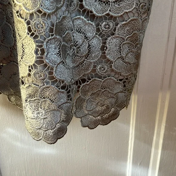 BHLDN Anthropologie Silver Floral Lace Sleeveless Emmeline Dress - Picture 6 of 11